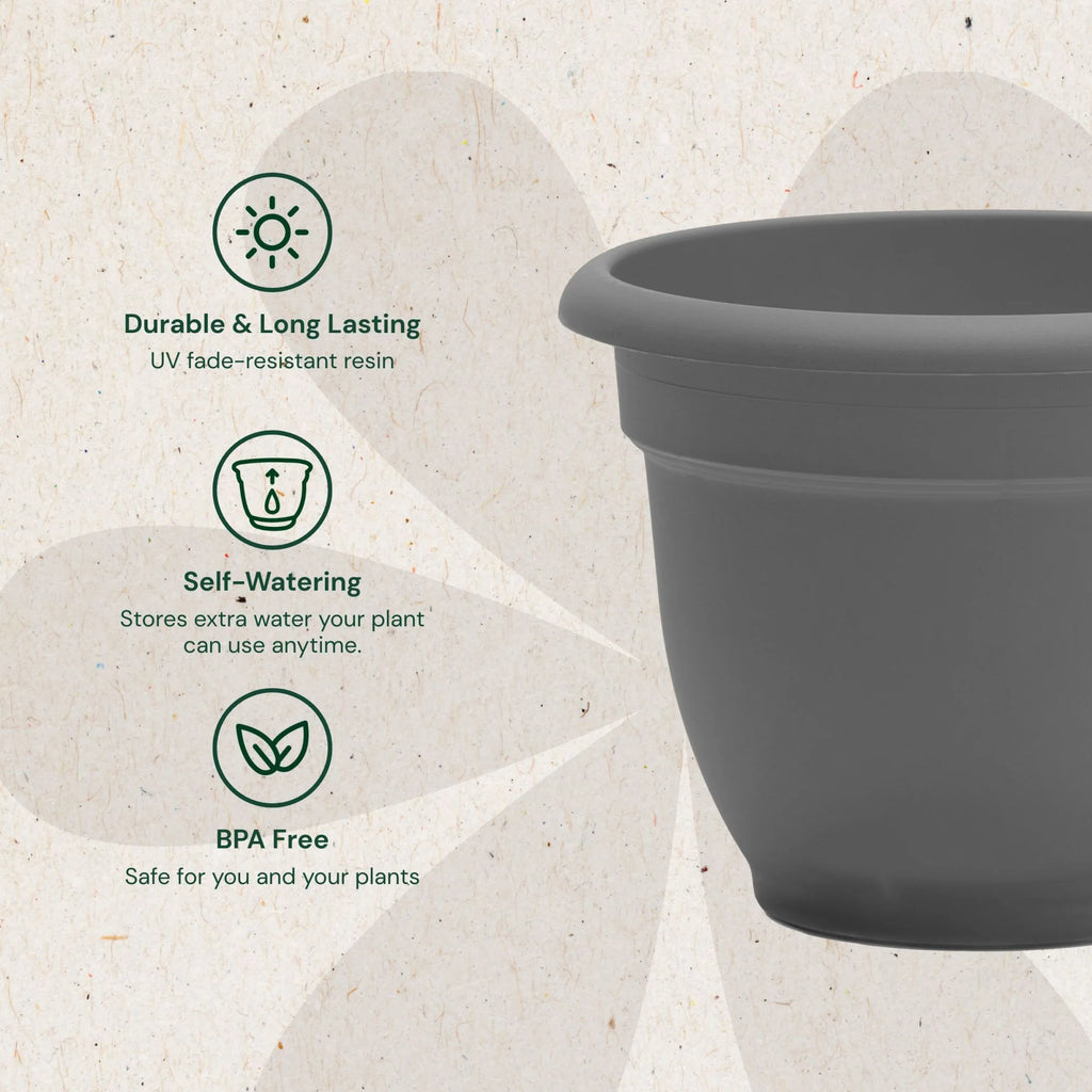 Ariana 16" Self-Watering Plastic Planter - Rolled Rim Indoor/Outdoor Garden Pot, Charcoal